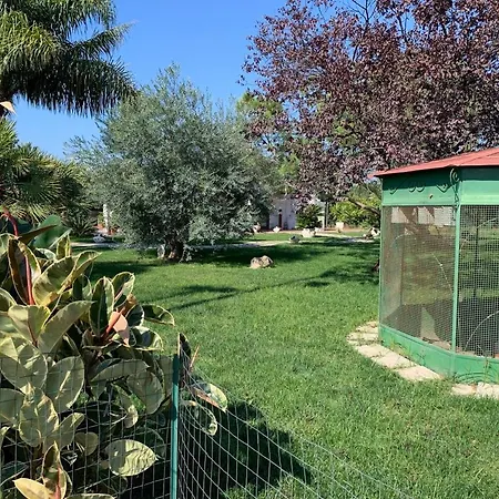 Agriturismo Ricciardulli Villa Policoro Exterior photo
