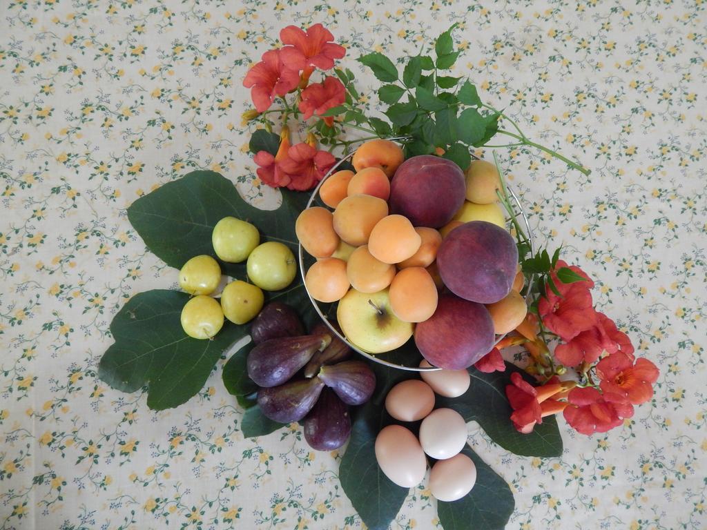 Agriturismo Ricciardulli Farm stay Policoro