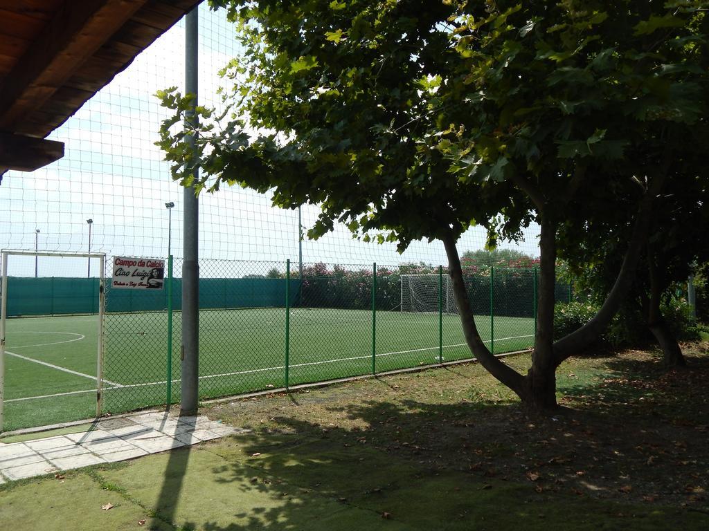 Farm stay Agriturismo Ricciardulli *