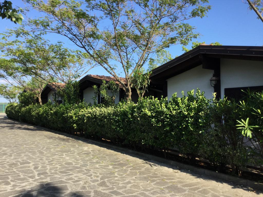 Farm stay Agriturismo Ricciardulli