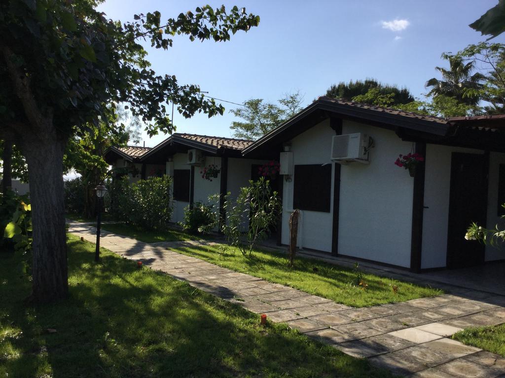 Farm stay Agriturismo Ricciardulli *