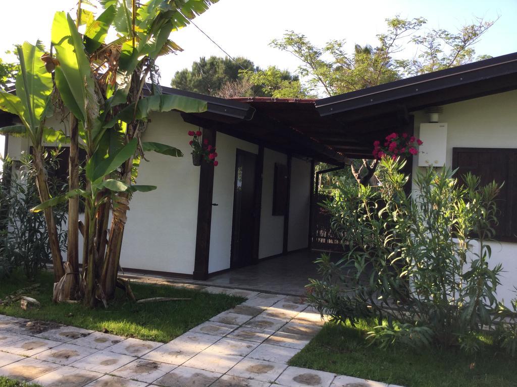 Farm stay Agriturismo Ricciardulli